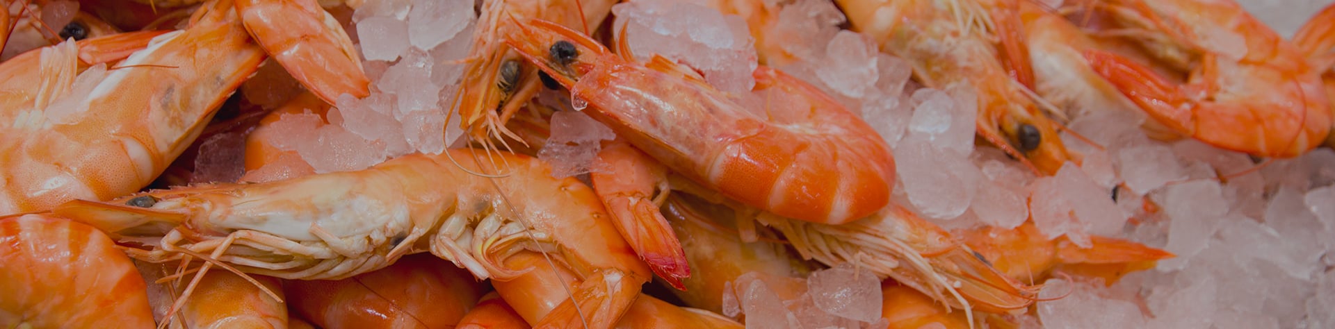Les crevettes